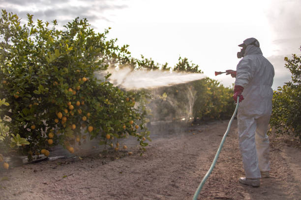 Best Wasp Removal Services  in Lebanon, PA