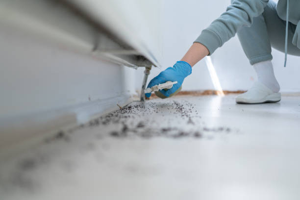 Lebanon, PA Pest Control Company