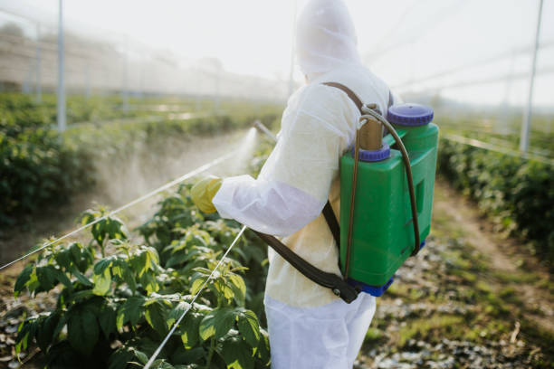 Best Mosquito Control Services  in Lebanon, PA
